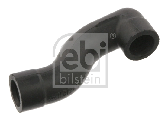 Hose, crankcase ventilation
